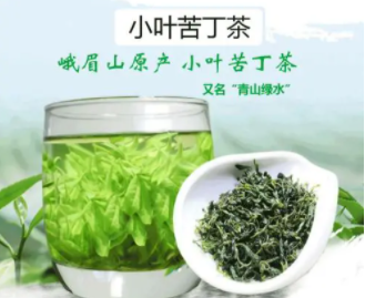 苦丁茶