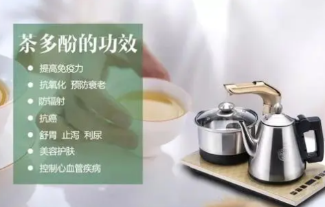 茶多酚