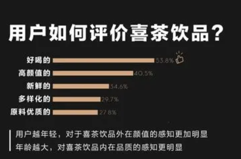 喜茶调查报告